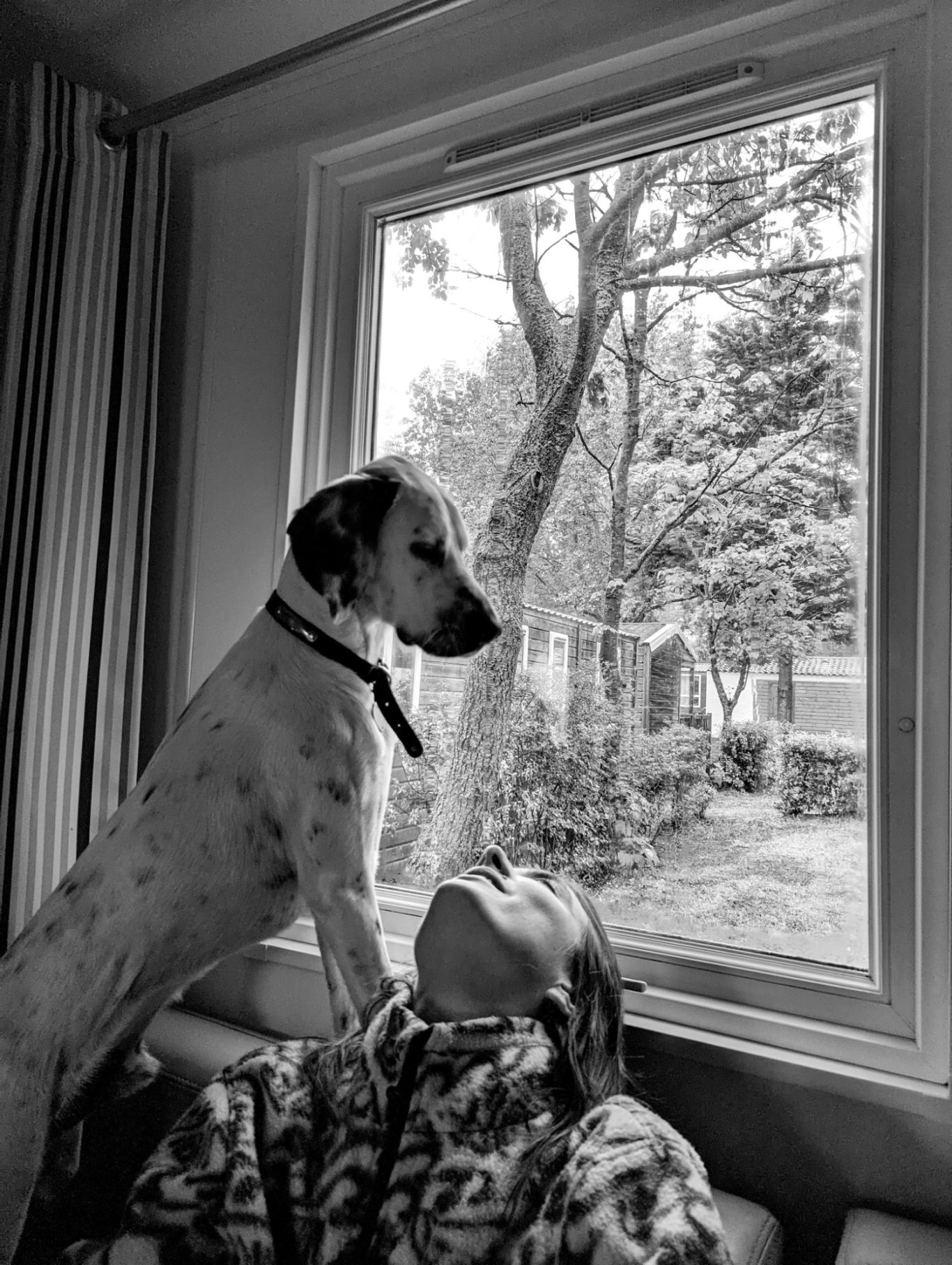 Photographie en noir et blanc d'un chien et sa maitresse. Photographe en Vendée