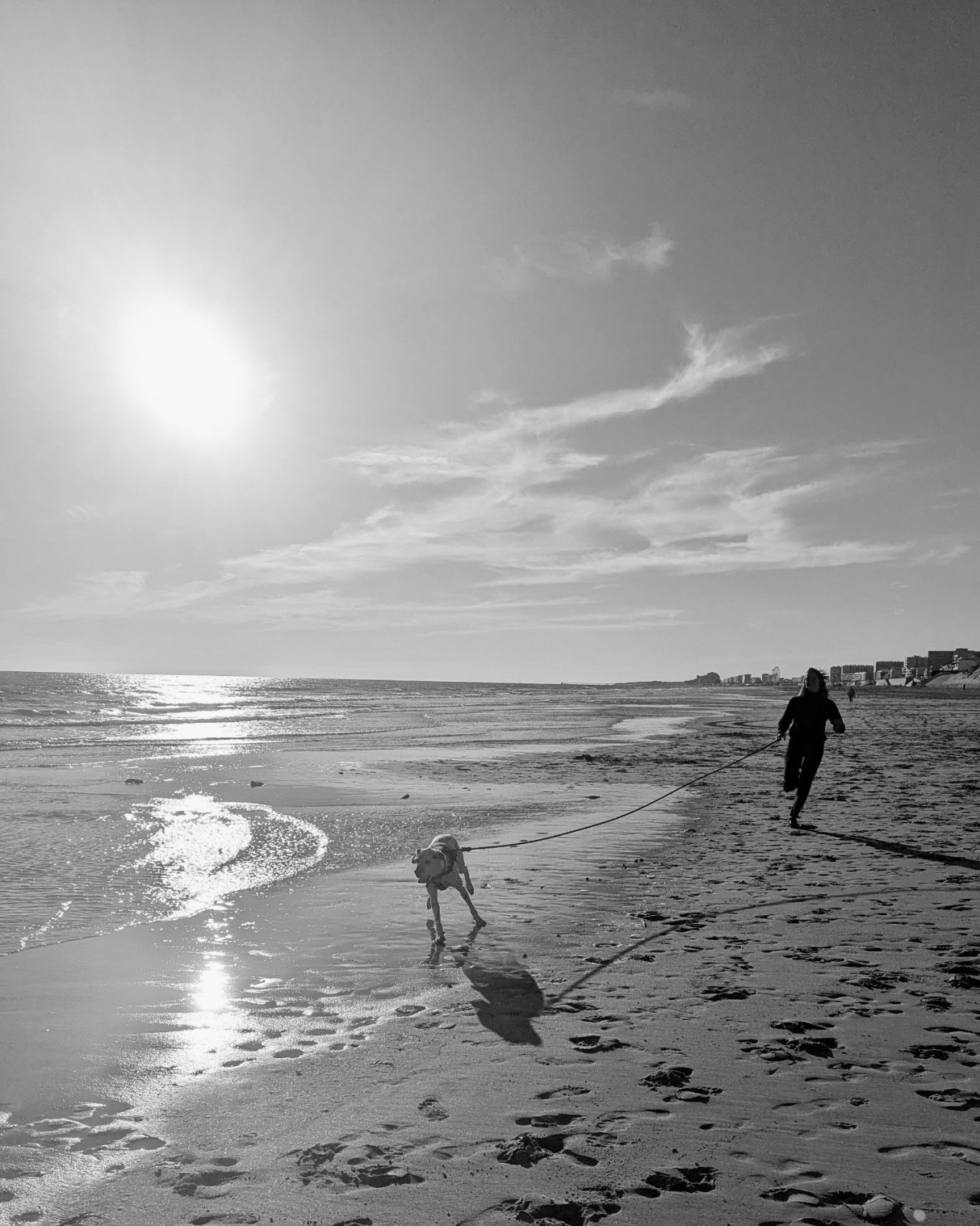 Photographie en noir et blanc d'un chien et sa maitresse sur la plage. Photographe en Vendée